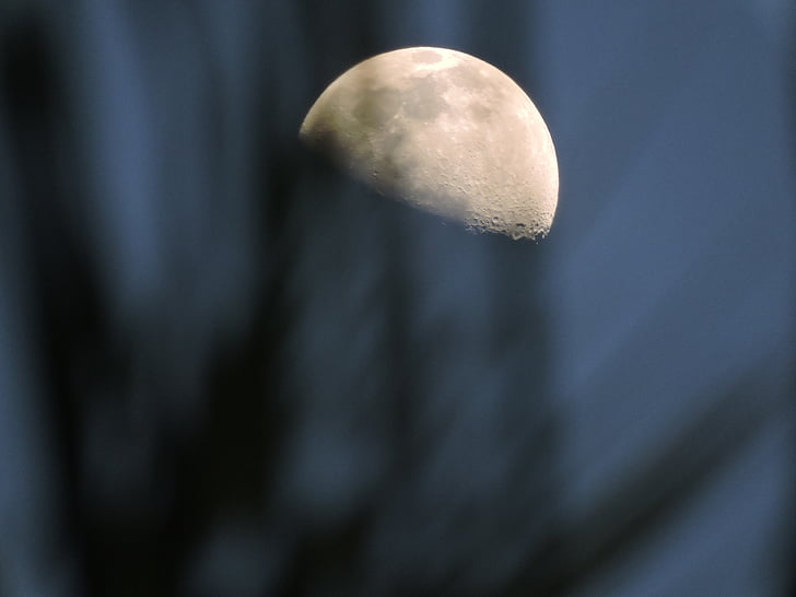 Moon, Ilhabela, Litoral, öö, loodus, Astro, kuuvalge öö