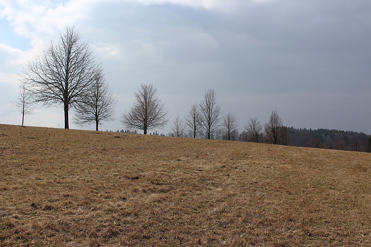 landscape, clouds, nature