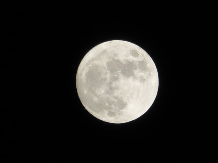 ดวงจันทร์, คืน, ภาพถ่ายกลางคืน, ดาราศาสตร์, พระจันทร์เต็มดวง, พื้นผิวดวงจันทร์, ดาวเคราะห์ดวงจันทร์