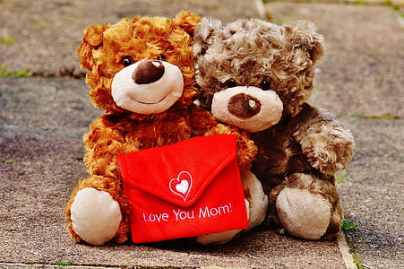 Teddy, día de la madre, amor, mama, tarjeta de felicitación, madre, bienvenida
