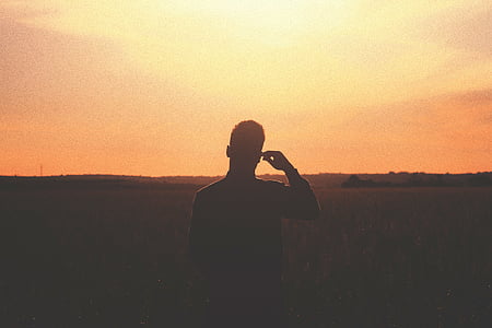 čovjek, stoji, srednji, trava, polje, zalazak sunca, sumrak