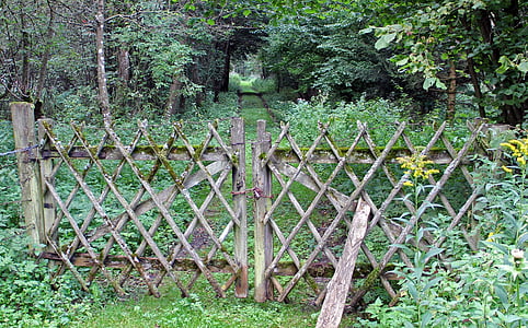 cerca, cerca de madeira, sarrafos, limite, paling, proteção, proteger