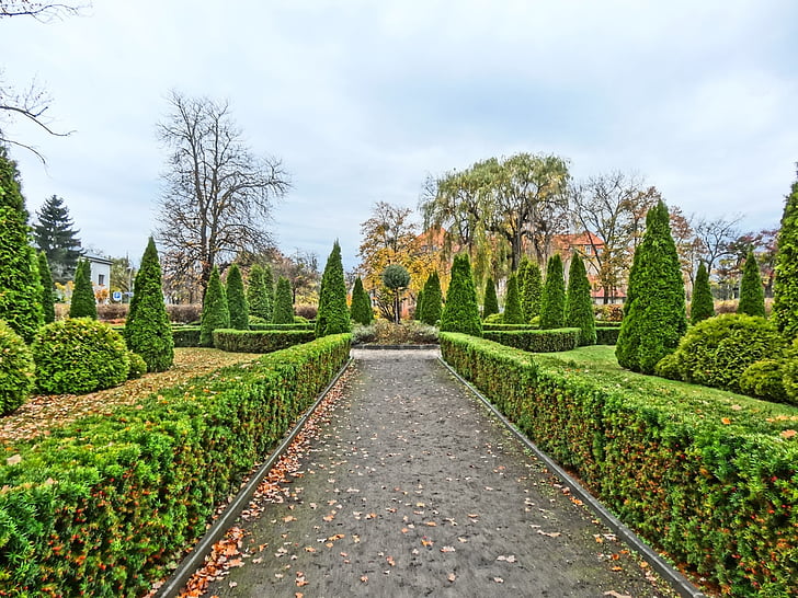 turwid carré, Bydgoszcz, Parc, jardin, plantes, façon, chemin d’accès