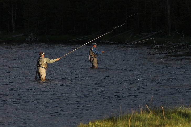 fishermen, anglers, fly fishing, river, angling, activity, spinning