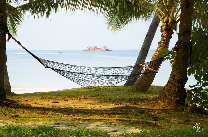 hammock, beach, sea, vacation, ocean, summer, resort