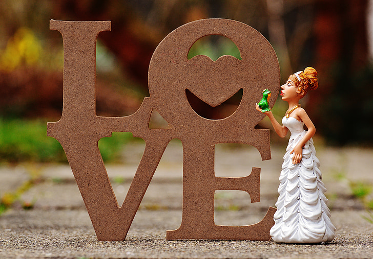 núvia, un petó la granota, l'amor, divertit, valent, déco, dia de Sant Valentí