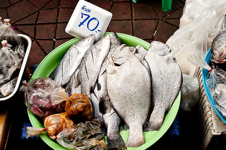 Closeup, Foto, gris, peces, verde, tazón de fuente, pescado
