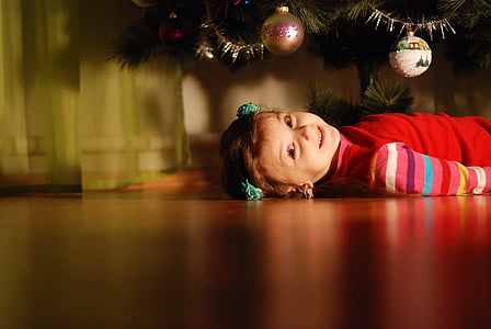 pohon Natal, tahun baru, malam tahun baru, barang curian, liburan, pohon Natal mainan, Natal bola