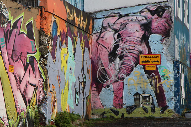 väggen, Graffiti, Reykjavik, elefant, Rosa, gatukonst