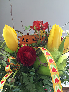 kwiat, Tulipan, kolorowe, bukiet wiosna