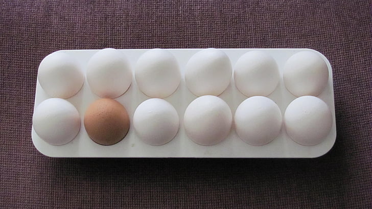 egg, mat, frokost, hvit, protein, kylling