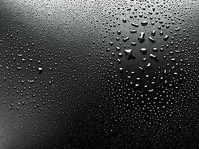 water droplets, dew, wet, drop, macro, liquid, clean