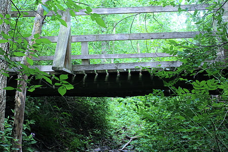 old bridge, water, wooden bridge, nature, tree, forest, wood - Material