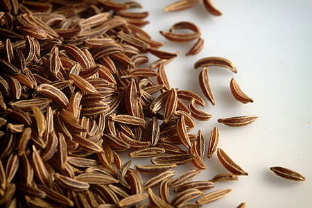 caraway seeds, macro, close-up, background, food, ingredient, caraway