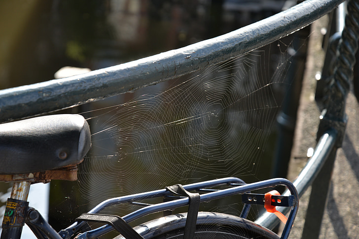Web, ışık, Bisiklet, siyah, Amsterdam, Hollanda, Klasik