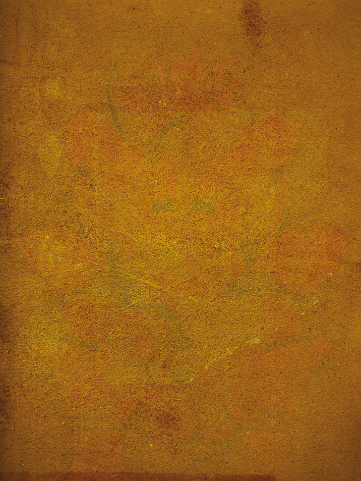 textura, groc daurat, planta, paret, fons, imatge de fons, taronja