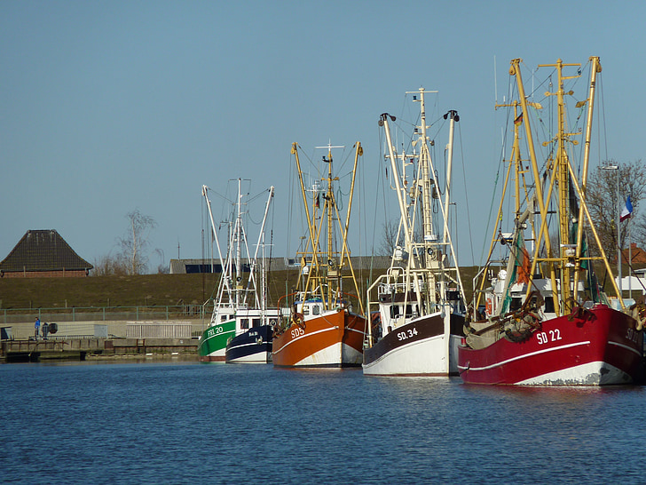 Friedrichskoog port, crevettes, Friedrichskoog, navires, Cutter, port