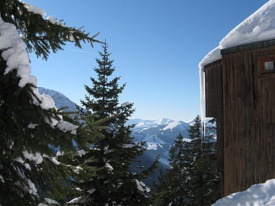 icicle, snow, chalet, tree, pine, winter, mountains
