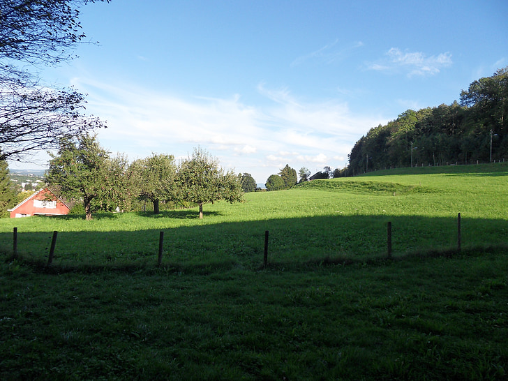 meadow, sun, with clouds