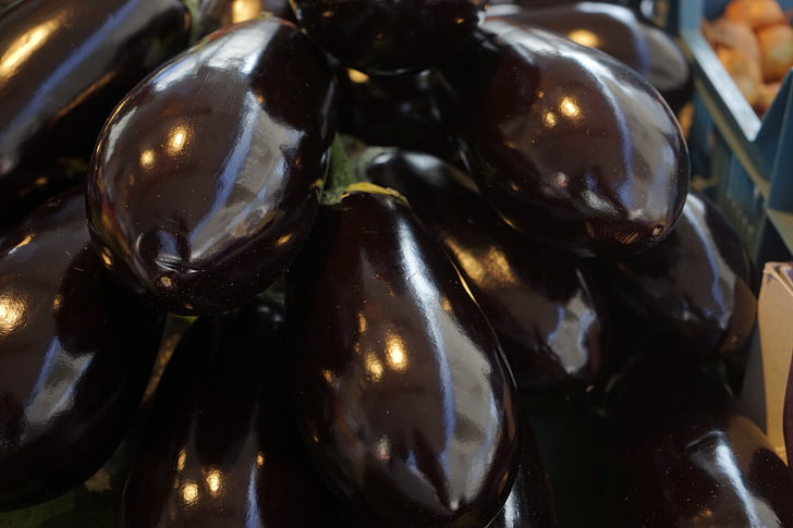 berinjela, produtos hortícolas, Solanum melongena, melanzana, pretinha, Solanum, nachtschattengewächs