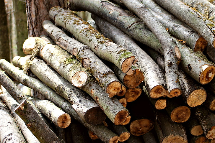 woodpile, การเข้าสู่ระบบ, ตัดไม้, ป่า, ไม้, ภูเขา, มอส