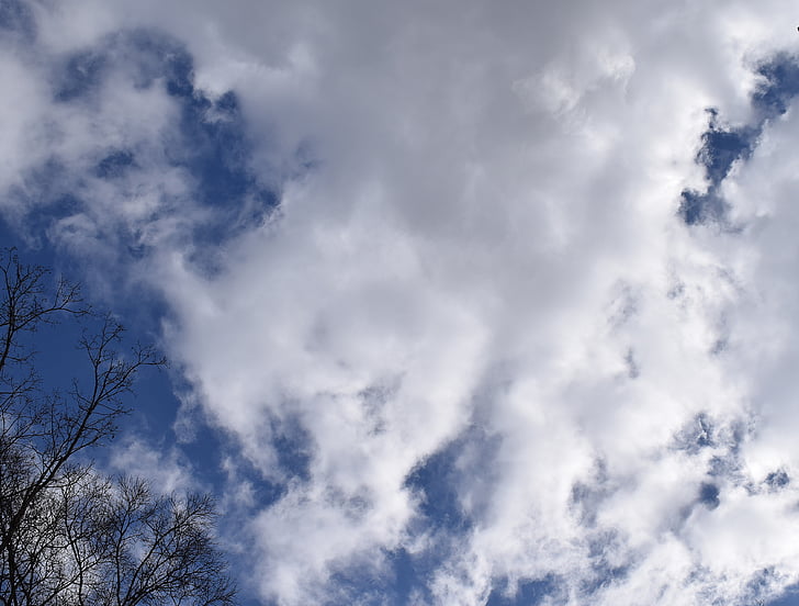 Nubi Wispy, cielo blu, nuvole, paesaggio, natura, Cloudscape, Wispy