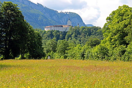 城堡, aschau, hohenaschau, 高度伯格, 巴伐利亚, 树木, 自然
