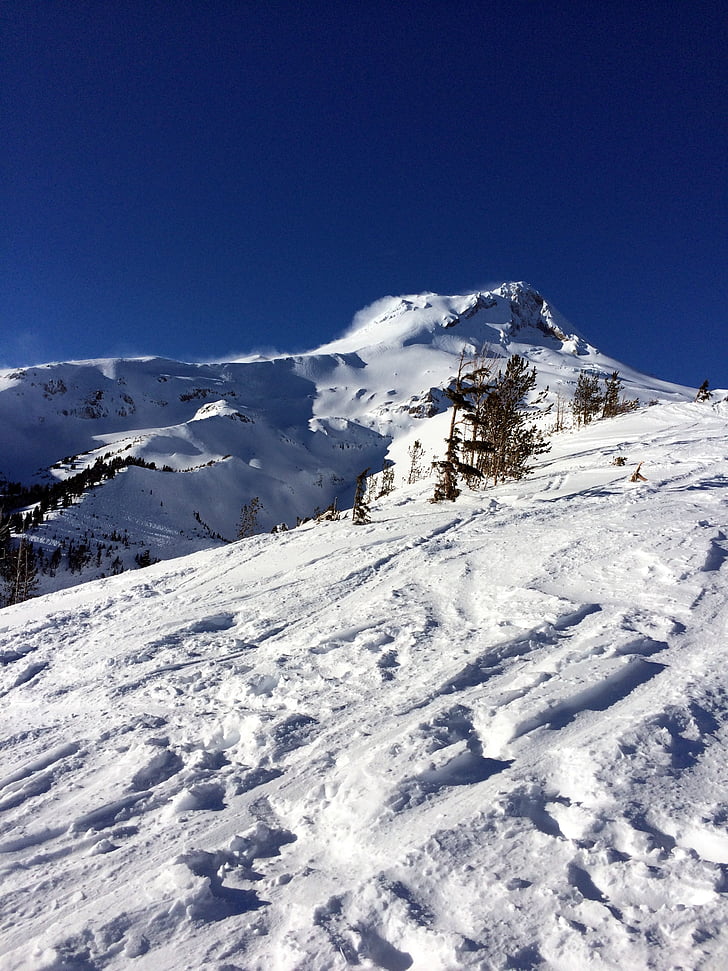 MT, Hood, Oregon, nordvest, sne, bjerge, skiløb