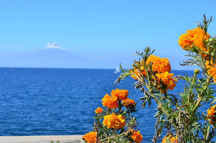 volcano, lake, orange, flowers