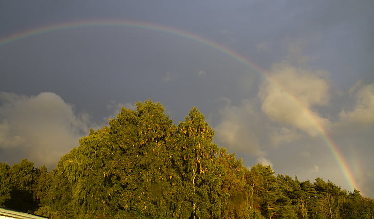 pioggia, arcobaleno, colori, Sol