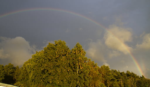 vihm, Rainbow, Värvid, Sol