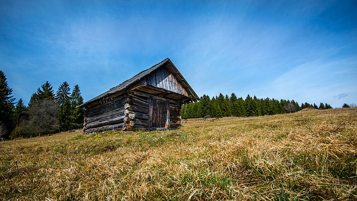 old, cottage, mow, wooden, abandoned, old building, house