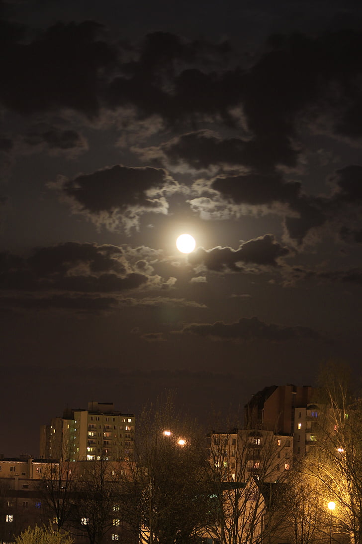 månen, fullheten av, natt, byggnader, osiedle