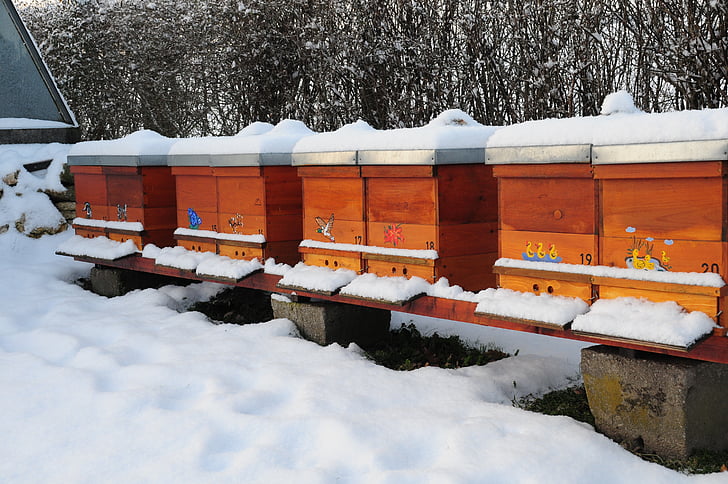 winter, bee hives, nature, bees, bee hive, honey bee, garden