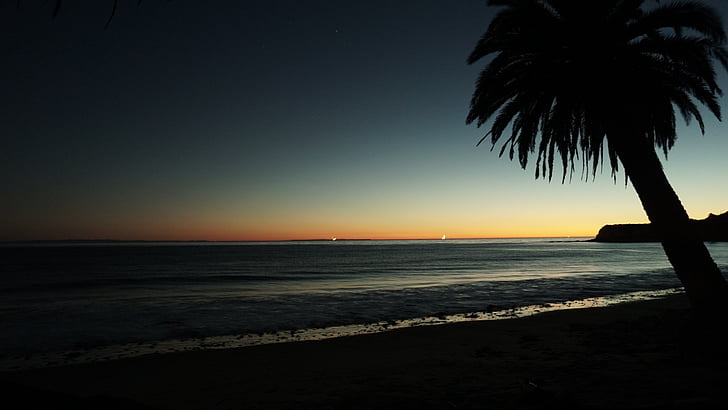 silhouette, Palm, arbre, près de :, océan, coucher de soleil, tombée de la nuit