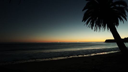 silueta, dlaně, strom, poblíž, oceán, Západ slunce, soumraku