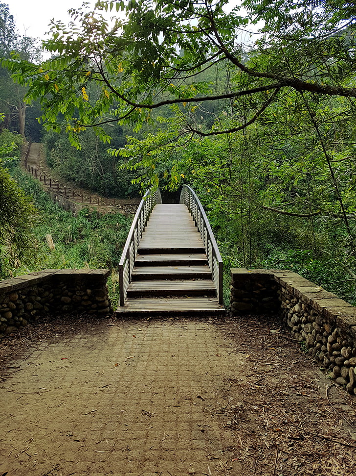 puente, bosque, Ruta de acceso, naturaleza, paisaje, al aire libre, verde