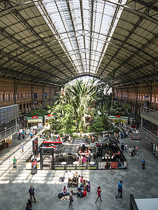 Station, Madrid, tåg, trädgård, utrymme, enorma, resväska