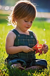 Děvče, sedící, květ, červená, dítě, batole, portrét