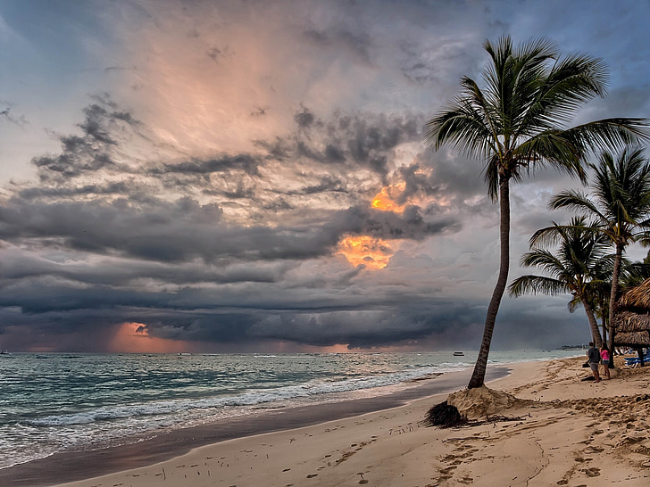 tropisch strand, zonsopgang, palmbomen, zand, water, Oceaan, zeegezicht