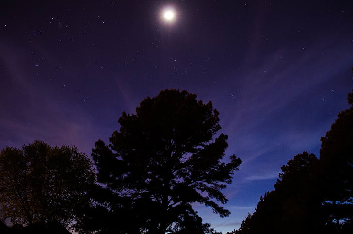astronomie, pădure, luna, noapte, cerul de noapte, cer, stele