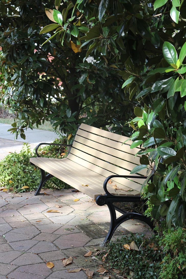 bench, park, peaceful, tranquil, sunlight, green, outdoors