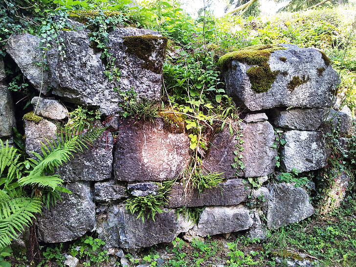 βράχια, τοίχου, Οι Alpine