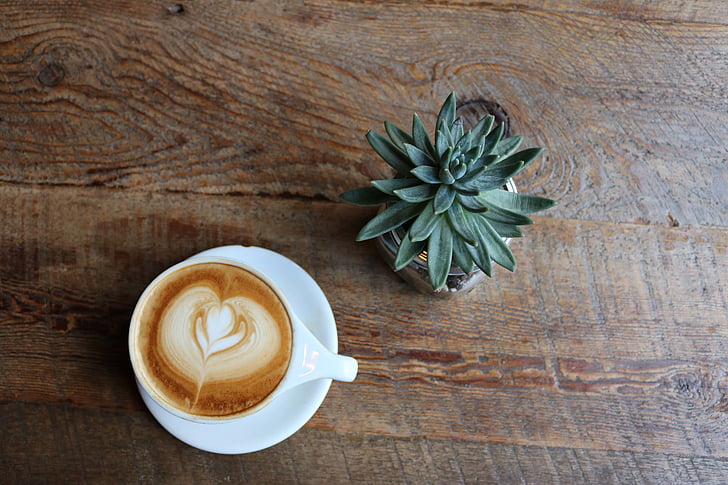 espresso, coffee, green, succulent, plant, latte, cappuccino