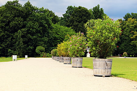 Ludwigslust-parchim, Parc del castell, distància, jardineres, Parc, Schlossgarten, passeig marítim
