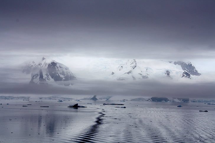 ledu floes, Antarktika, vode, polarno območje, ledeno, ledenik, hladno