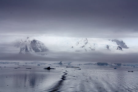 pannes de gel, l'Antàrtida, l'aigua, regió polar, glacial, glacera, fred