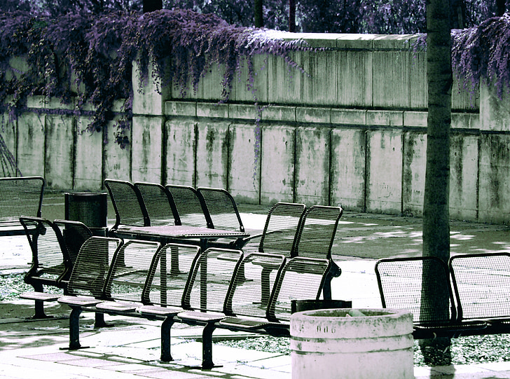 viena, Dunojaus sala, parko suoliukas, sėdėti, sėdynės, banko, suolai