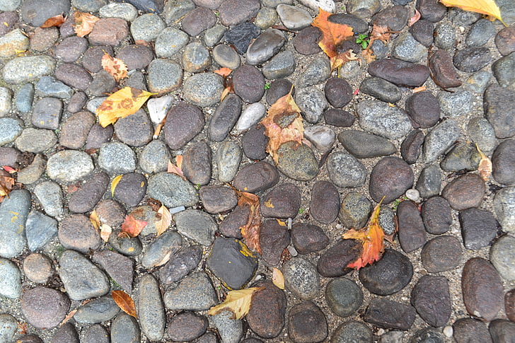 machines à paver, l’automne, feuilles, texture, pierres, feuille morte