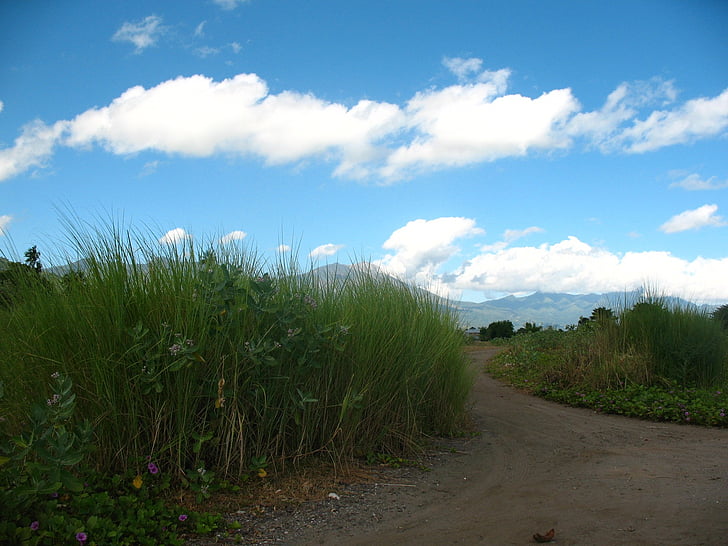 long road, cloud, sky, mountain, grass, landscape